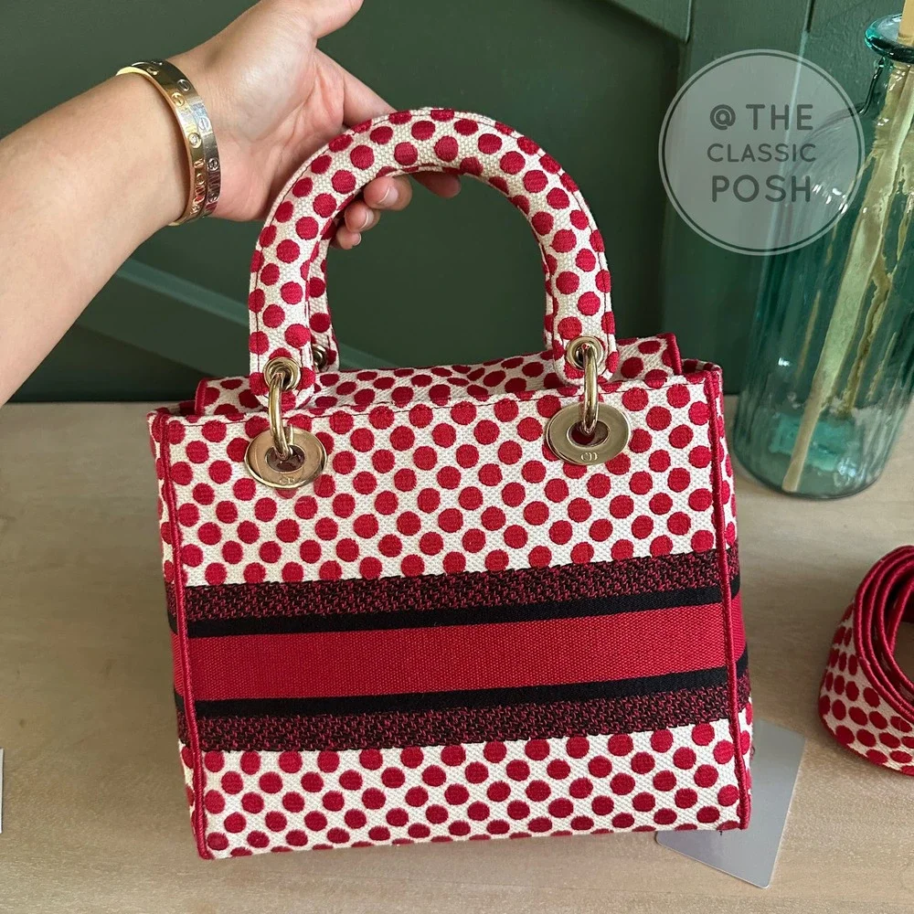EUC Rare Christian Dior Lady D Lite Dioramour 2020 Lady Bug Dots Satchel Bag - Picture 15 of 16
